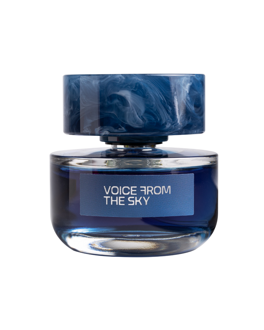 Voice From The Sky