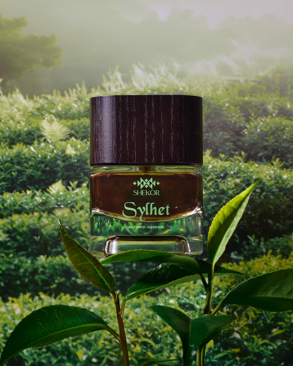 Sylhet